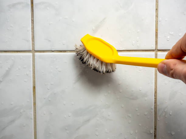 Best Attic Mold Removal  in Macon, MO