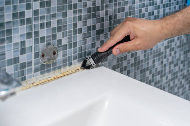Best Commercial Mold Removal  in Macon, MO
