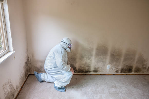 Water Damage Restoration in Macon, MO